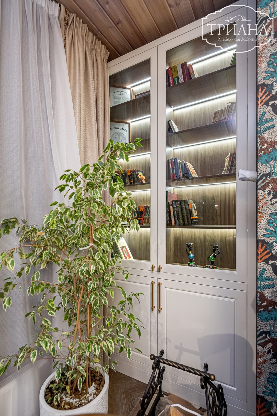 Деталь книжной витрины-шкафа с LED-подсветкой полок и стеклянными дверками в кабинете
